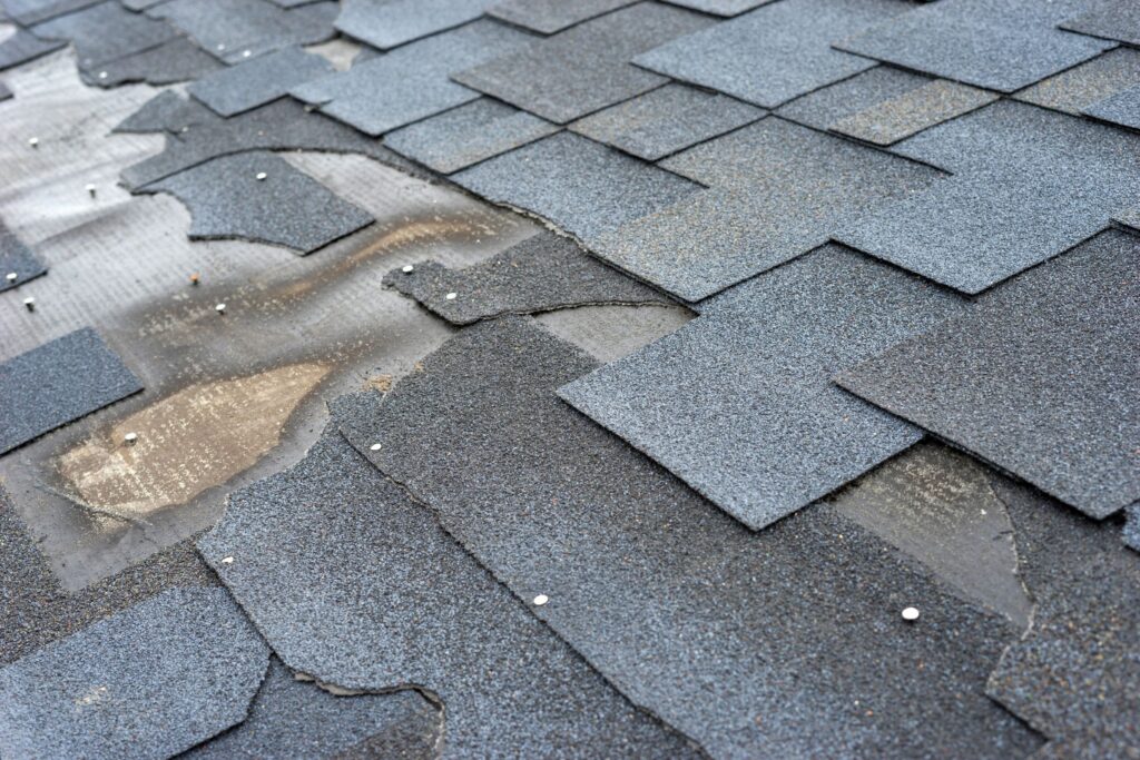 Damaged Shingles: What to Look For