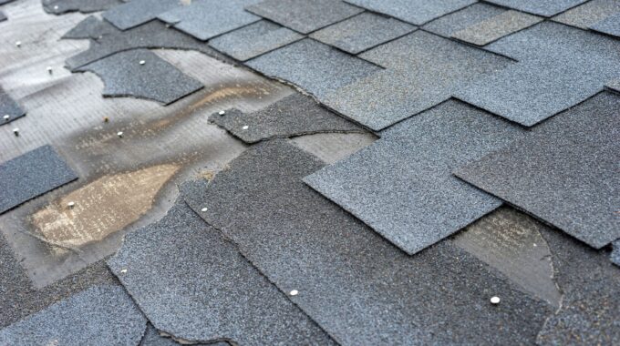 Damaged Shingles: What To Look For