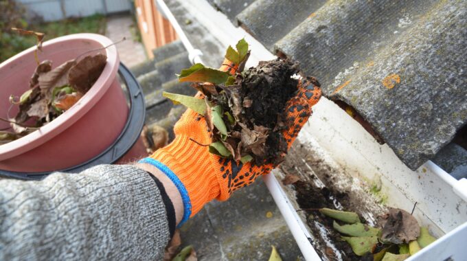 Tips To Prepare Your Roof For Spring