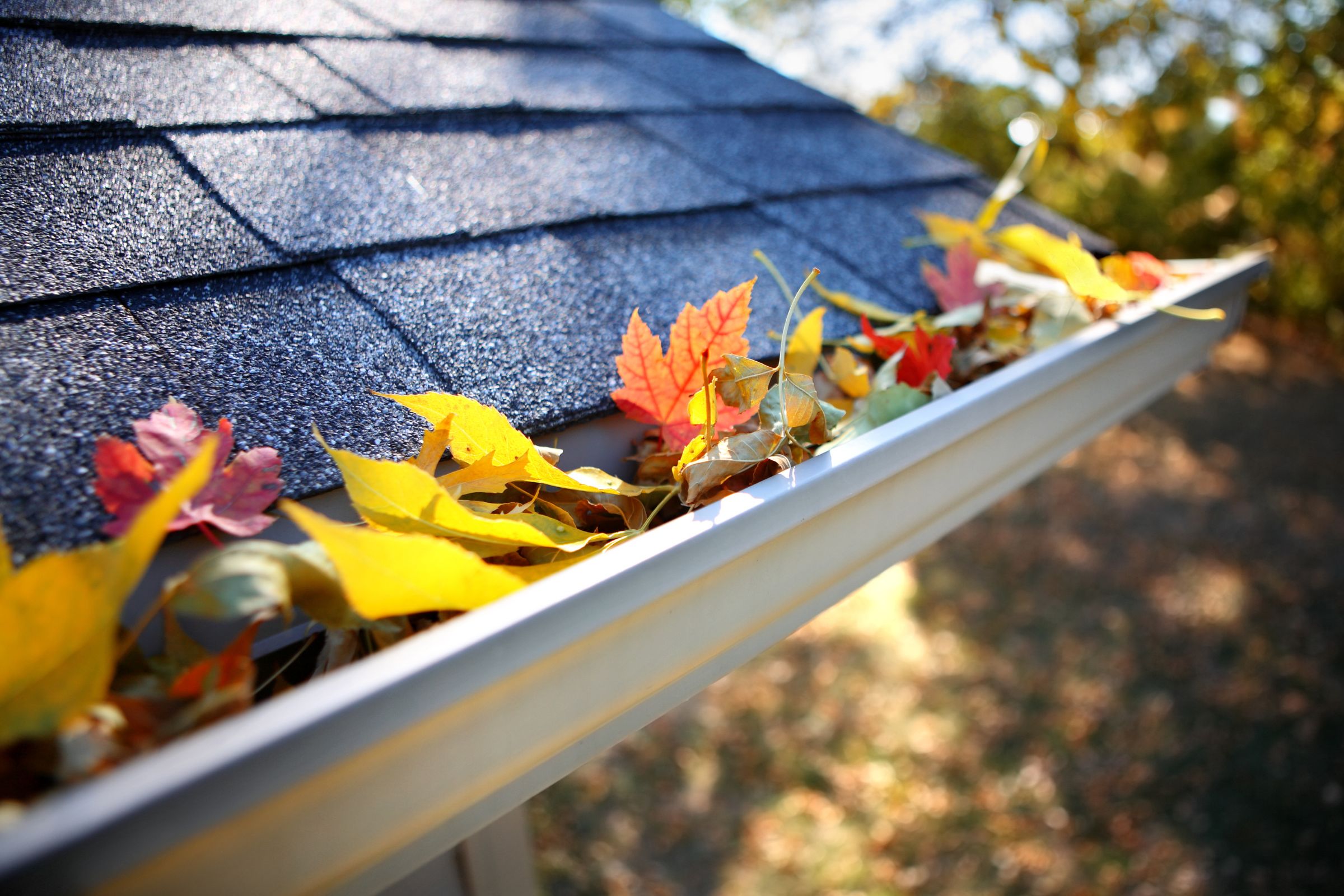 Essential Gutter Maintenance Tips for Fall and Winter Protection